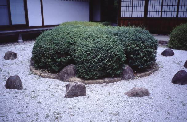 Nara 3